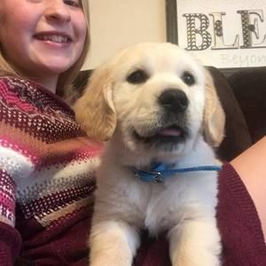 Meet your Posher, Jayden